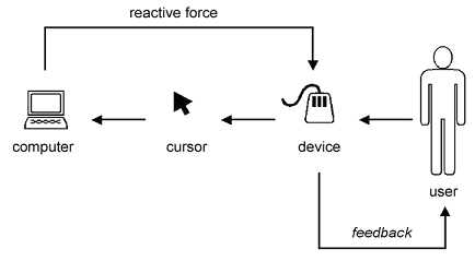 bidirectional interaction